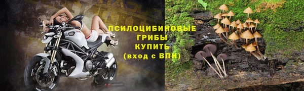 ALPHA-PVP Алексин