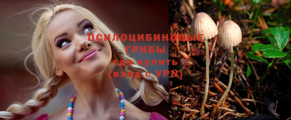 mdpv Алзамай