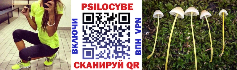 гидра   даркнет как зайти  Псилоцибиновые грибы Cubensis  продажа наркотиков  Петрозаводск 