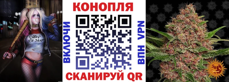 гидра ссылка  Петрозаводск  Бошки марихуана план  наркота 
